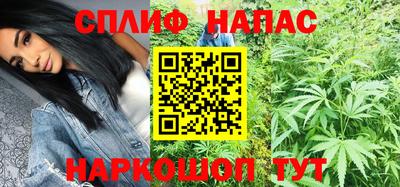 стафф Славгород